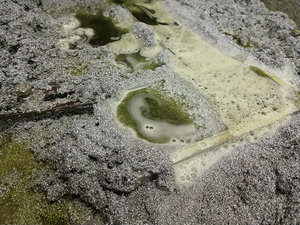 IMG_20200114_134553917.jpg (8536 просмотров) <a class='original' href='./download/file.php?id=175002&mode=view' target=_blank>Загрузить оригинал (380.21 КБ)</a>