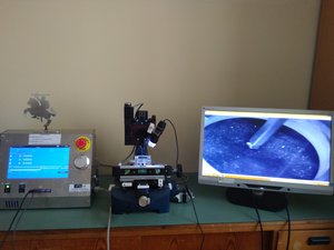 IMG_20190829_103832.jpg (1375 просмотров) <a class='original' href='./download/file.php?id=175467&mode=view' target=_blank>Загрузить оригинал (4.69 МБ)</a>