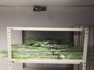 IMG_20200212_194345.jpg (2780 просмотров) <a class='original' href='./download/file.php?id=176662&mode=view' target=_blank>Загрузить оригинал (3.82 МБ)</a>