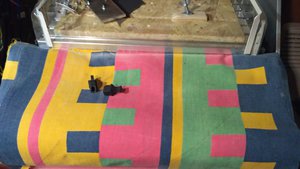 IMG_20200221_234748.jpg (11025 просмотров) <a class='original' href='./download/file.php?id=177072&mode=view' target=_blank>Загрузить оригинал (934.24 КБ)</a>