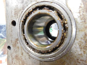 DSCN0228.JPG (15334 просмотра) <a class='original' href='./download/file.php?id=178488&mode=view' target=_blank>Загрузить оригинал (3.98 МБ)</a>