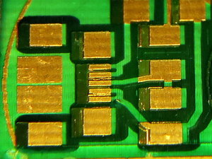 IMG_1968_macro1.JPG (5109 просмотров) <a class='original' href='./download/file.php?id=179082&mode=view' target=_blank>Загрузить оригинал (230.85 КБ)</a>