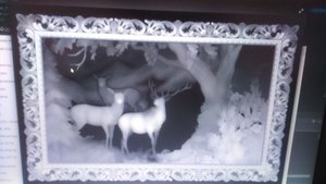 IMG-20180703-WA0001.jpeg (11916 просмотров) <a class='original' href='./download/file.php?id=179376&mode=view' target=_blank>Загрузить оригинал (400.26 КБ)</a>