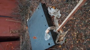 20191021_172452.jpg (43453 просмотра) <a class='original' href='./download/file.php?id=179426&mode=view' target=_blank>Загрузить оригинал (3.15 МБ)</a>