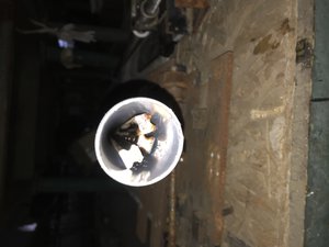 88902201-3344-4C5A-B5B6-C39DC8DA9678.jpeg (8457 просмотров) <a class='original' href='./download/file.php?id=179582&mode=view' target=_blank>Загрузить оригинал (1.44 МБ)</a>