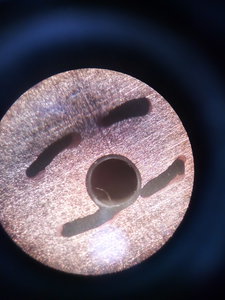 IMG_20200405_182856.jpg (2464 просмотра) <a class='original' href='./download/file.php?id=179702&mode=view' target=_blank>Загрузить оригинал (2.88 МБ)</a>