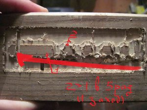 5.jpg (4166 просмотров) <a class='original' href='./download/file.php?id=18057&mode=view' target=_blank>Загрузить оригинал (166.18 КБ)</a>