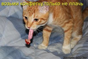 конфета.jpg (4181 просмотр) <a class='original' href='./download/file.php?id=181476&mode=view' target=_blank>Загрузить оригинал (27.57 КБ)</a>