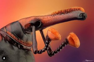 10663.jpg (4970 просмотров) <a class='original' href='./download/file.php?id=182081&mode=view' target=_blank>Загрузить оригинал (314.88 КБ)</a>