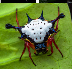 56456.jpg (4970 просмотров) <a class='original' href='./download/file.php?id=182082&mode=view' target=_blank>Загрузить оригинал (236.72 КБ)</a>