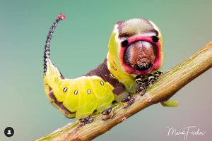 10664.jpg (4970 просмотров) <a class='original' href='./download/file.php?id=182084&mode=view' target=_blank>Загрузить оригинал (235.92 КБ)</a>