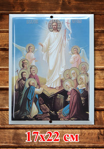 DSC_8748 копия.jpg (1877 просмотров) <a class='original' href='./download/file.php?id=182200&mode=view' target=_blank>Загрузить оригинал (6.88 МБ)</a>