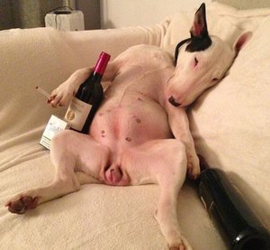 10666.jpg (4766 просмотров) <a class='original' href='./download/file.php?id=182455&mode=view' target=_blank>Загрузить оригинал (376.9 КБ)</a>