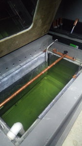 P_20200622_172800.jpg (4118 просмотров) <a class='original' href='./download/file.php?id=183056&mode=view' target=_blank>Загрузить оригинал (1.48 МБ)</a>