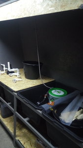 P_20200622_172734.jpg (4118 просмотров) <a class='original' href='./download/file.php?id=183061&mode=view' target=_blank>Загрузить оригинал (943.17 КБ)</a>