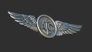 navy air crew _image2.jpg (5130 просмотров) <a class='original' href='./download/file.php?id=183670&mode=view' target=_blank>Загрузить оригинал (525.7 КБ)</a>