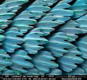 213.jpg (4300 просмотров) <a class='original' href='./download/file.php?id=184683&mode=view' target=_blank>Загрузить оригинал (276.98 КБ)</a>