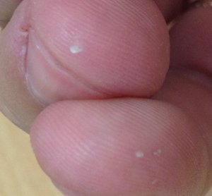 IMG_0622.JPG (2341 просмотр) <a class='original' href='./download/file.php?id=18518&mode=view' target=_blank>Загрузить оригинал (131.6 КБ)</a>