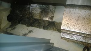 WP_20130911_005.jpg (1816 просмотров) <a class='original' href='./download/file.php?id=18530&mode=view' target=_blank>Загрузить оригинал (2.62 МБ)</a>