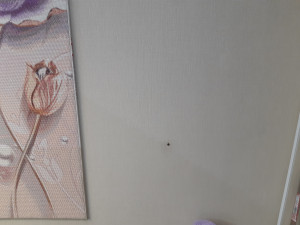 20200904_183525.jpg (3468 просмотров) <a class='original' href='./download/file.php?id=185753&mode=view' target=_blank>Загрузить оригинал (5.89 МБ)</a>