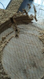 photo_2020-10-28_14-44-32.jpg (1791 просмотр) <a class='original' href='./download/file.php?id=188017&mode=view' target=_blank>Загрузить оригинал (174.69 КБ)</a>