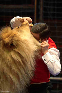 unnamed.jpg (1347 просмотров) <a class='original' href='./download/file.php?id=188057&mode=view' target=_blank>Загрузить оригинал (48.07 КБ)</a>