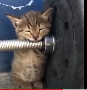 Быстрорез.jpg (1485 просмотров) <a class='original' href='./download/file.php?id=189860&mode=view' target=_blank>Загрузить оригинал (33.46 КБ)</a>