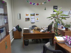 IMG_20131216_154757.jpg (1115 просмотров) <a class='original' href='./download/file.php?id=191225&mode=view' target=_blank>Загрузить оригинал (307.6 КБ)</a>