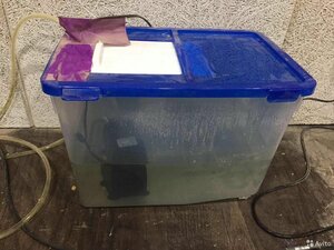 IjXGNbaxjtzwggzRjlUOYVCWjth6lITe.jpg (1368 просмотров) <a class='original' href='./download/file.php?id=191250&mode=view' target=_blank>Загрузить оригинал (240.89 КБ)</a>