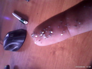 DSC_0000031.jpg (9036 просмотров) <a class='original' href='./download/file.php?id=19141&mode=view' target=_blank>Загрузить оригинал (101.83 КБ)</a>