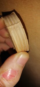 IMG_20210203_081300.jpg (1416 просмотров) <a class='original' href='./download/file.php?id=191924&mode=view' target=_blank>Загрузить оригинал (1.15 МБ)</a>