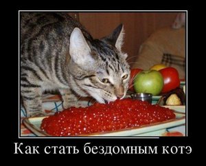 123.JPG (1887 просмотров) <a class='original' href='./download/file.php?id=19263&mode=view' target=_blank>Загрузить оригинал (56.88 КБ)</a>