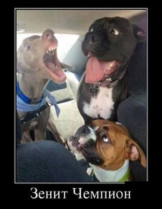 125.jpg (1887 просмотров) <a class='original' href='./download/file.php?id=19265&mode=view' target=_blank>Загрузить оригинал (40.85 КБ)</a>