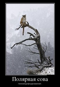 123.JPG (1881 просмотр) <a class='original' href='./download/file.php?id=19266&mode=view' target=_blank>Загрузить оригинал (54.81 КБ)</a>