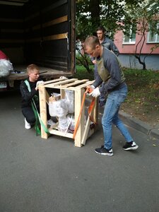 Доставка.jpg (130239 просмотров) <a class='original' href='./download/file.php?id=193150&mode=view' target=_blank>Загрузить оригинал (2.52 МБ)</a>