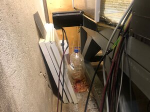 IMG_4995.jpg (4402 просмотра) <a class='original' href='./download/file.php?id=193829&mode=view' target=_blank>Загрузить оригинал (742.31 КБ)</a>