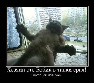 123.JPG (1839 просмотров) <a class='original' href='./download/file.php?id=19383&mode=view' target=_blank>Загрузить оригинал (212.93 КБ)</a>