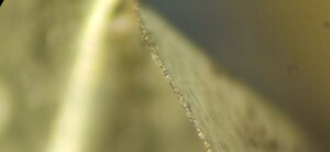 IMG_20210401_204338.jpg (1038 просмотров) <a class='original' href='./download/file.php?id=194125&mode=view' target=_blank>Загрузить оригинал (2.03 МБ)</a>