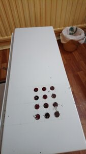 DSC_0880[1].JPG (1938 просмотров) <a class='original' href='./download/file.php?id=194433&mode=view' target=_blank>Загрузить оригинал (5.69 МБ)</a>