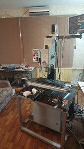 DSC_1168.JPG (1307 просмотров) <a class='original' href='./download/file.php?id=194610&mode=view' target=_blank>Загрузить оригинал (6.92 МБ)</a>