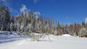 2020-03-17 11-27-02.jpg (77267 просмотров) <a class='original' href='./download/file.php?id=194807&mode=view' target=_blank>Загрузить оригинал (445.72 КБ)</a>