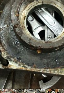 WhatsApp Image 2021-04-28 at 12.48.43 (3).jpeg (394 просмотра) <a class='original' href='./download/file.php?id=195081&mode=view' target=_blank>Загрузить оригинал (90.87 КБ)</a>