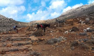 IMAG0598.jpg (2022 просмотра) <a class='original' href='./download/file.php?id=19566&mode=view' target=_blank>Загрузить оригинал (1.1 МБ)</a>