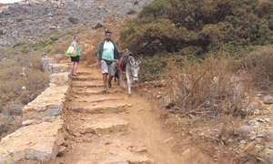 IMAG0595.jpg (2022 просмотра) <a class='original' href='./download/file.php?id=19567&mode=view' target=_blank>Загрузить оригинал (1.42 МБ)</a>