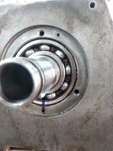 IMG_20210630_154905.jpg (2624 просмотра) <a class='original' href='./download/file.php?id=196404&mode=view' target=_blank>Загрузить оригинал (942.64 КБ)</a>