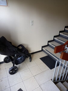 20210903_182555.jpg (908 просмотров) <a class='original' href='./download/file.php?id=197980&mode=view' target=_blank>Загрузить оригинал (3.07 МБ)</a>