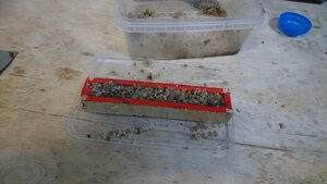 DSC_0025.JPG (143811 просмотров) <a class='original' href='./download/file.php?id=198393&mode=view' target=_blank>Загрузить оригинал (2.8 МБ)</a>