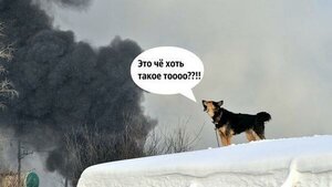 BrUj007IUAAMkaq.jpg (1212 просмотров) <a class='original' href='./download/file.php?id=199026&mode=view' target=_blank>Загрузить оригинал (22.85 КБ)</a>