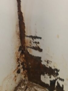 за свою жизнь такой качественой покраски не стречал (2424 просмотра) <a class='original' href='./download/file.php?id=199243&mode=view' target=_blank>Загрузить оригинал (67.69 КБ)</a>