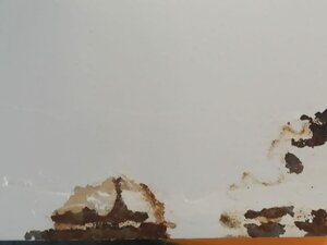 Ua99aa8fb1ed04581a8ea493a997ffbc00.jpeg (2424 просмотра) <a class='original' href='./download/file.php?id=199245&mode=view' target=_blank>Загрузить оригинал (76.53 КБ)</a>